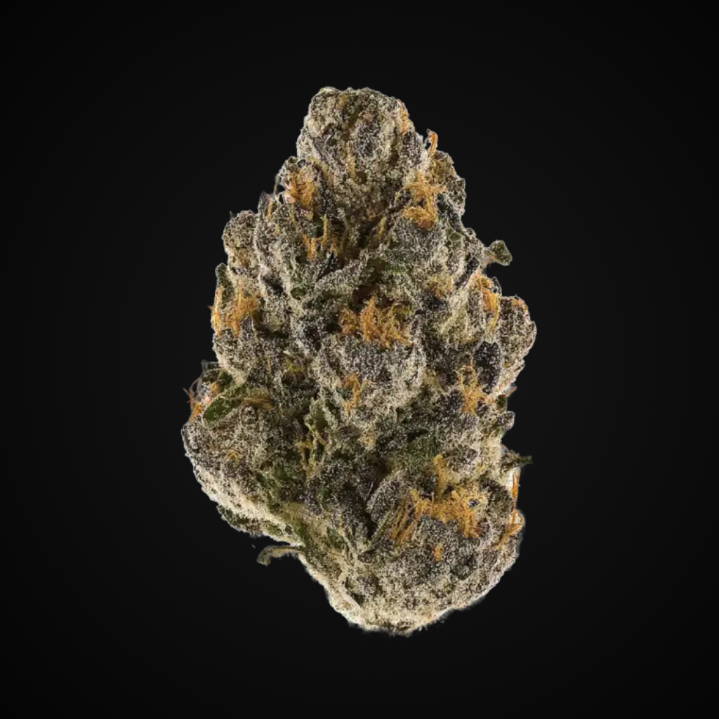 Cookie Gelato