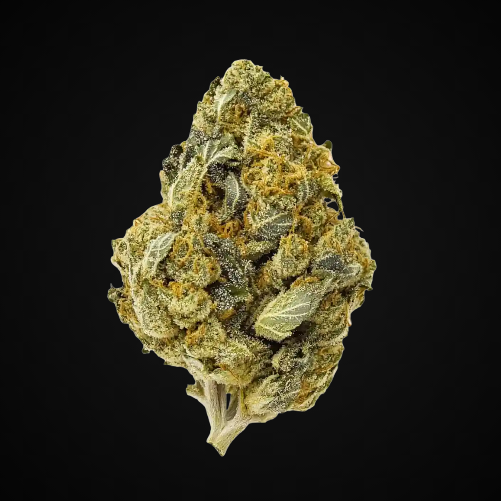 Jet Fuel