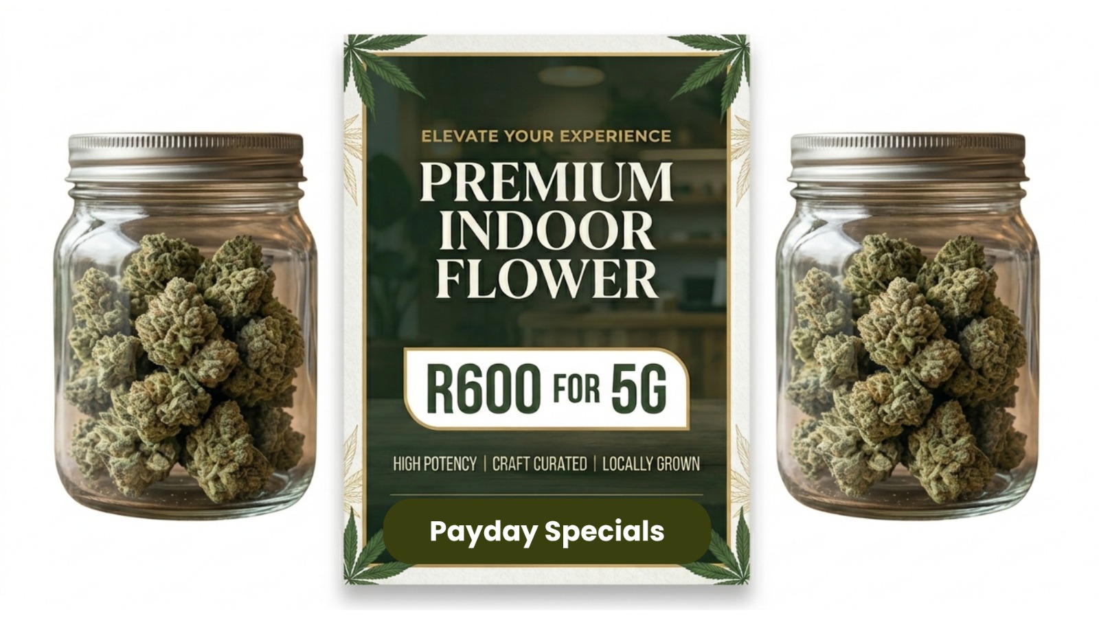 Indoor Special - In Store Only