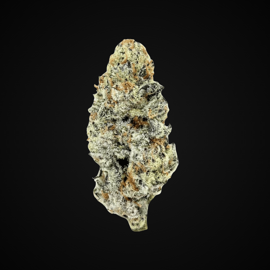 Pink Champagne