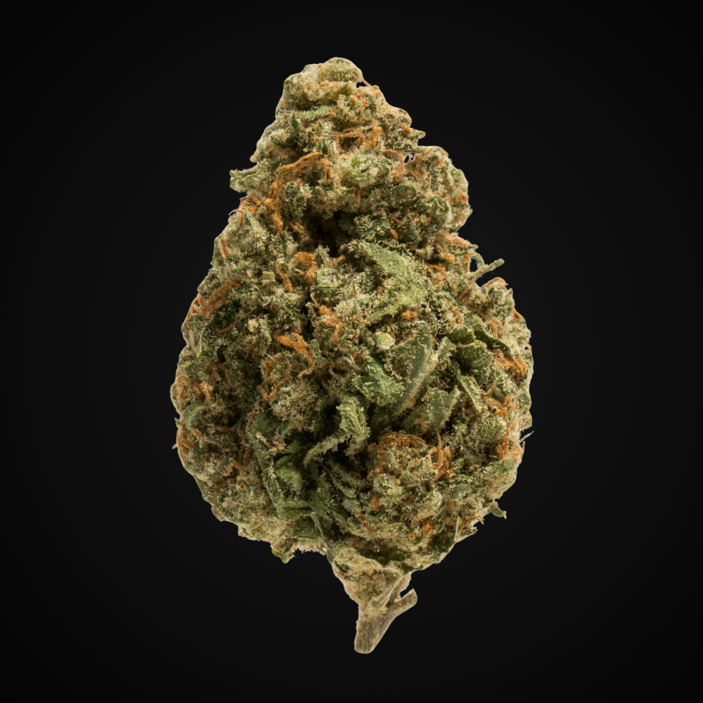 The Menthol