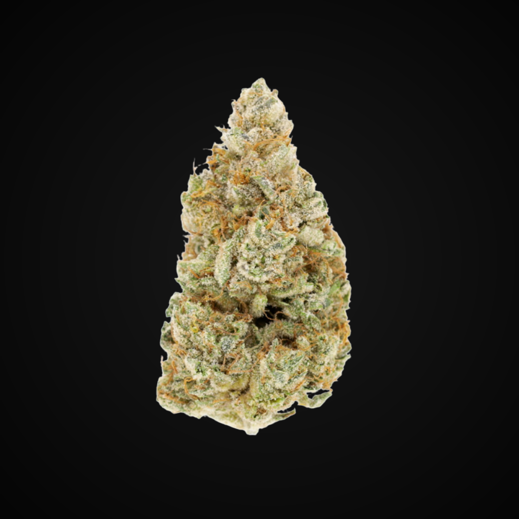 Lemon Tree